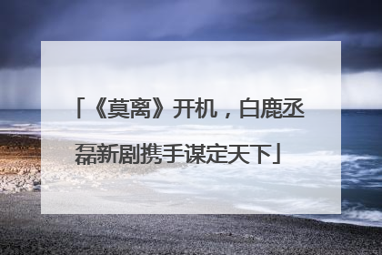 《莫离》开机，白鹿丞磊新剧携手谋定天下
