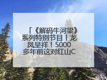 《解码牛河梁》系列特别节目丨龙凤呈祥！5000多年前这对红山CP竟这么好嗑