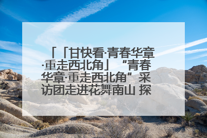 「甘快看·青春华章·重走西北角」“青春华章·重走西北角”采访团走进花舞南山 探寻天水乡村振兴之路