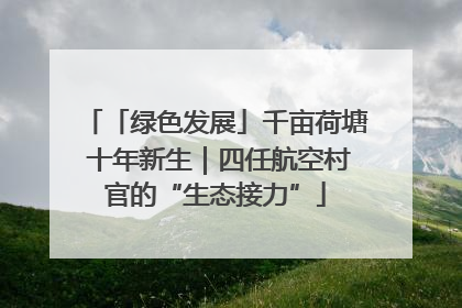 「绿色发展」千亩荷塘 十年新生｜四任航空村官的“生态接力”