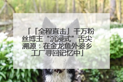 「全程直击」千万粉丝博主“沉浸式”舌尖溯源：在金龙鱼外婆乡工厂寻回记忆中