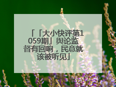「大小快评第1059期」舆论监督有回响，民意就该被听见