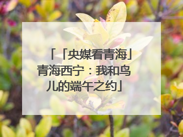 「央媒看青海」青海西宁：我和鸟儿的端午之约