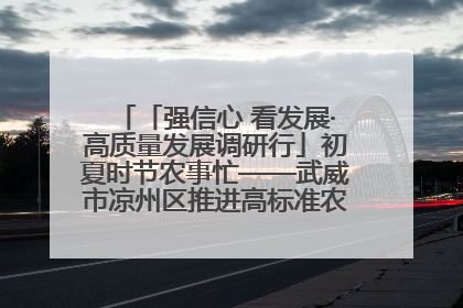 「强信心 看发展·高质量发展调研行」初夏时节农事忙——武威市凉州区推进高标准农田建设见闻
