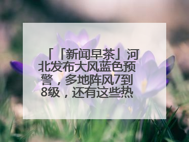 「新闻早茶」河北发布大风蓝色预警，多地阵风7到8级，还有这些热点……