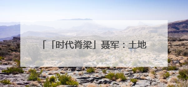 「时代脊梁」聂军：土地营养师守护稻田28年
