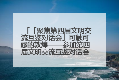 「聚焦第四届文明交流互鉴对话会」可触可感的敦煌——参加第四届文明交流互鉴对话会的外宾参观上元市集