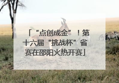 “点创成金”！第十六届“挑战杯”省赛在邵阳火热开赛
