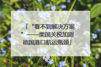 “看不到解决方案”——美国关税加剧德国港口航运瓶颈