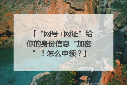 “网号+网证”给你的身份信息“加密”！怎么申领？