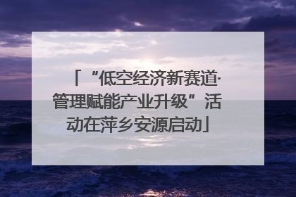 “低空经济新赛道·管理赋能产业升级”活动在萍乡安源启动