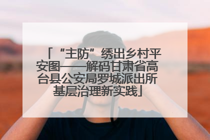 “主防”绣出乡村平安图——解码甘肃省高台县公安局罗城派出所基层治理新实践