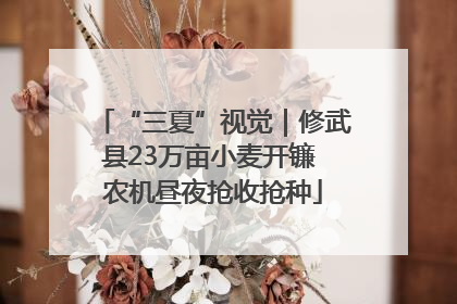 “三夏”视觉｜修武县23万亩小麦开镰 农机昼夜抢收抢种