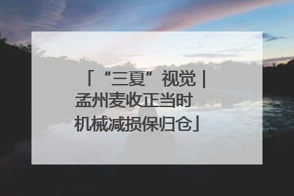 “三夏”视觉｜孟州麦收正当时 机械减损保归仓
