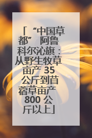 “中国草都” 阿鲁科尔沁旗：从野生牧草亩产 35 公斤到苜蓿草亩产 800 公斤以上