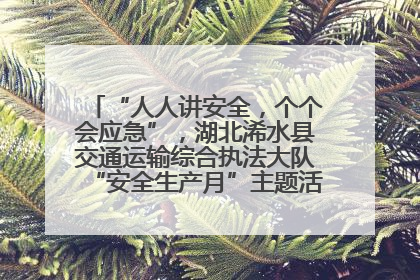 “人人讲安全，个个会应急”，湖北浠水县交通运输综合执法大队“安全生产月”主题活动取得成效