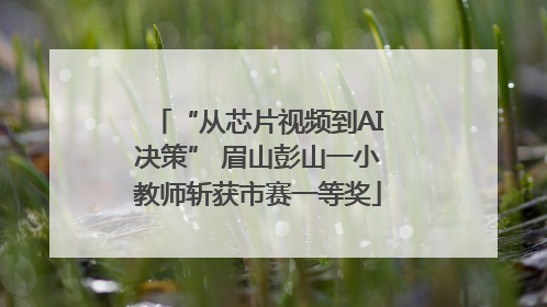 “从芯片视频到AI决策” 眉山彭山一小教师斩获市赛一等奖