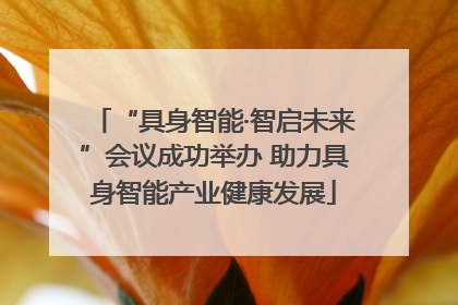 “具身智能·智启未来”会议成功举办 助力具身智能产业健康发展
