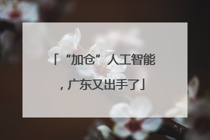 “加仓”人工智能，广东又出手了