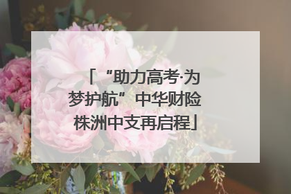 “助力高考·为梦护航”中华财险株洲中支再启程