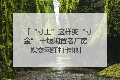 “寸土”这样变“寸金” 十堰闲置老厂房蝶变网红打卡地