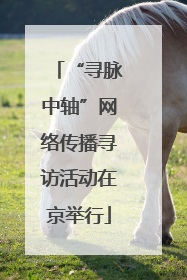 “寻脉中轴”网络传播寻访活动在京举行