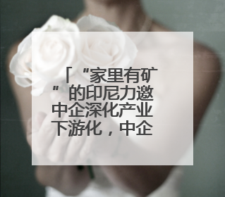 “家里有矿”的印尼力邀中企深化产业下游化，中企有哪些最新考量？