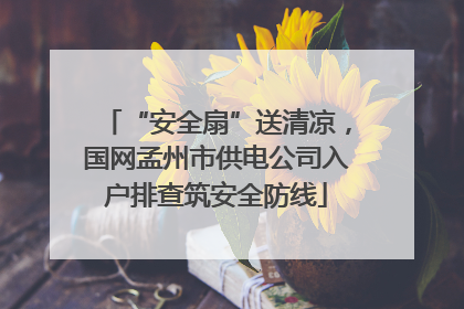 “安全扇”送清凉，国网孟州市供电公司入户排查筑安全防线