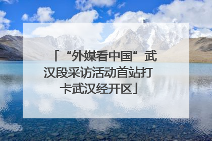 “外媒看中国”武汉段采访活动首站打卡武汉经开区