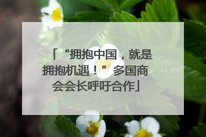 “拥抱中国，就是拥抱机遇！”多国商会会长呼吁合作