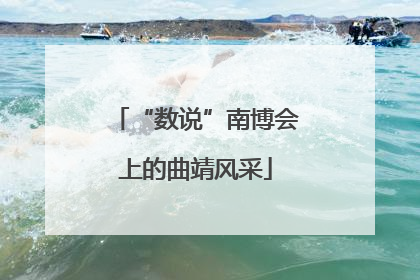 “数说”南博会上的曲靖风采