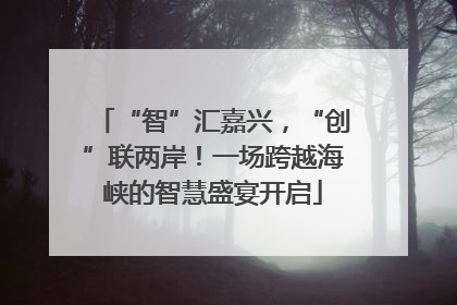 “智”汇嘉兴，“创”联两岸！一场跨越海峡的智慧盛宴开启