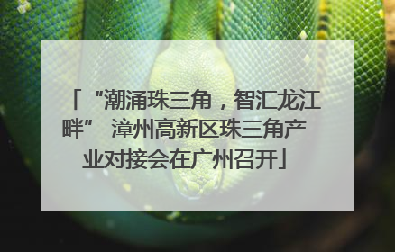 “潮涌珠三角，智汇龙江畔” 漳州高新区珠三角产业对接会在广州召开