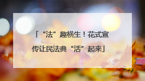“法”趣横生！花式宣传让民法典“活”起来