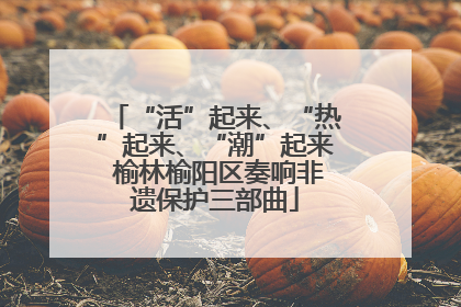 “活”起来、“热”起来、“潮”起来 榆林榆阳区奏响非遗保护三部曲