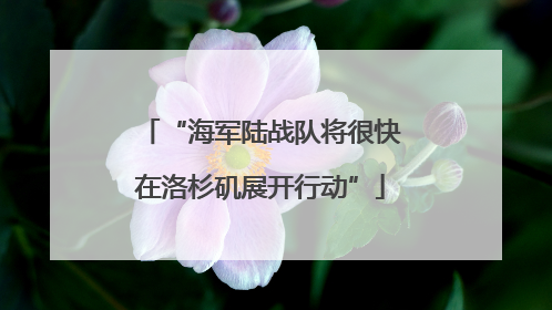 “海军陆战队将很快在洛杉矶展开行动”