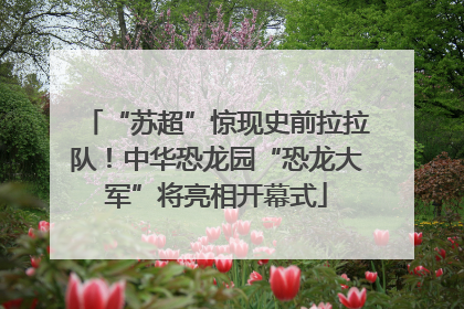 “苏超”惊现史前拉拉队！中华恐龙园“恐龙大军”将亮相开幕式