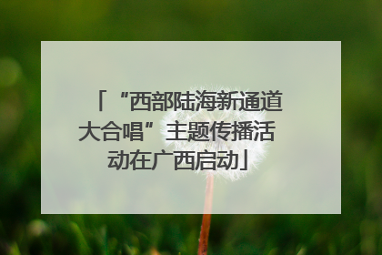 “西部陆海新通道大合唱”主题传播活动在广西启动