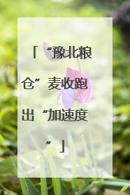 “豫北粮仓”麦收跑出“加速度”