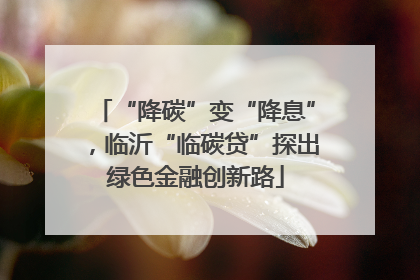 “降碳”变“降息”，临沂“临碳贷”探出绿色金融创新路
