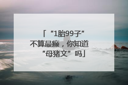 “1胎99子”不算最癫，你知道“母猪文”吗