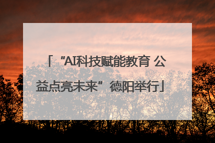 “AI科技赋能教育 公益点亮未来”德阳举行
