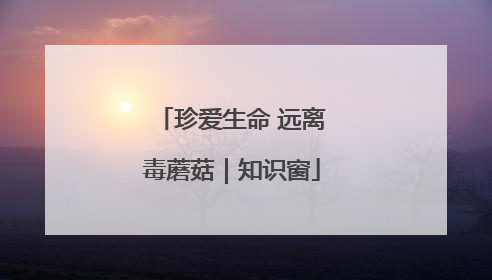 珍爱生命 远离毒蘑菇｜知识窗