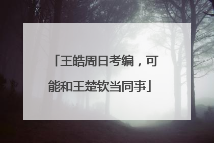 王皓周日考编，可能和王楚钦当同事