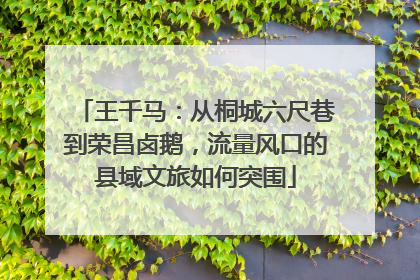王千马：从桐城六尺巷到荣昌卤鹅，流量风口的县域文旅如何突围