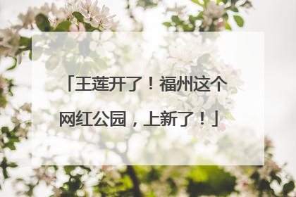 王莲开了！福州这个网红公园，上新了！