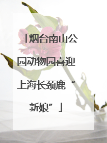 烟台南山公园动物园喜迎上海长颈鹿“新娘”