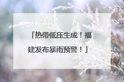 热带低压生成！福建发布暴雨预警！