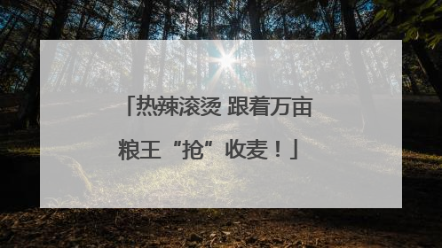 热辣滚烫 跟着万亩粮王“抢”收麦！
