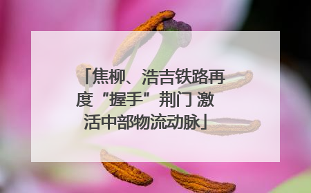 焦柳、浩吉铁路再度“握手”荆门 激活中部物流动脉